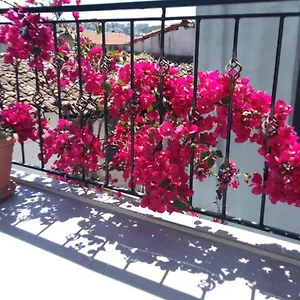 Hotel Casa Magnolia Boutique, Kusadası